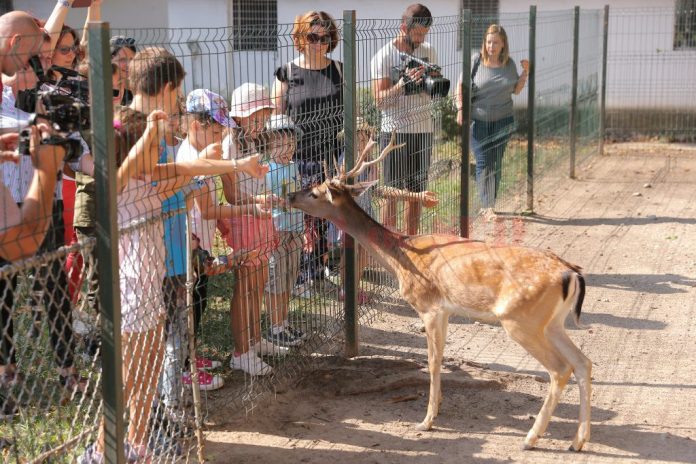 Copiii S Au Imprietenit Cu Noile Animale De La Zoo Craiova
