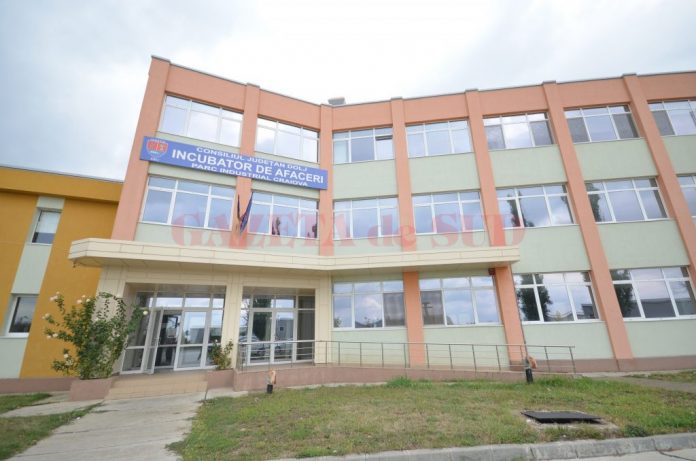 incubator de afaceri net