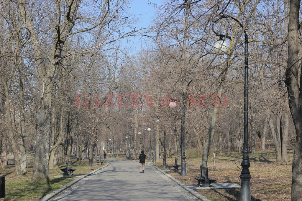 Bărbat de 63 de ani, găsit spânzurat în Parcul „Romanescu”