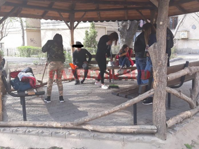 Reprezentanţii Poliţiei Locale spun că au dat peste 2.000 de avertismente persoanelor prinse aruncând diverse resturi pe domeniul public