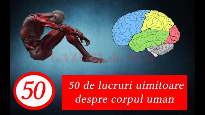 maxresdefault