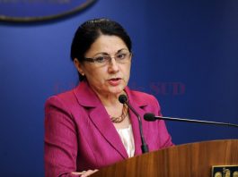 Ministrul Andronescu propune trei legi pentru sistemul educaţional