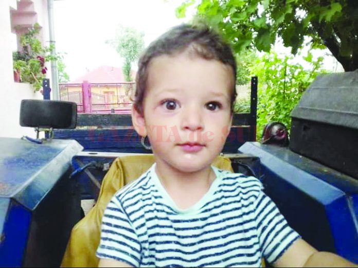 luca2