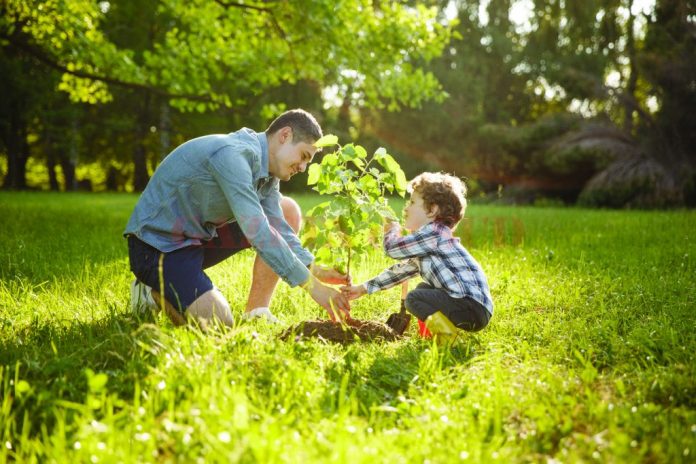 Parent and child planting tree
