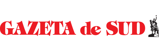 Image result for gazeta de sud logo