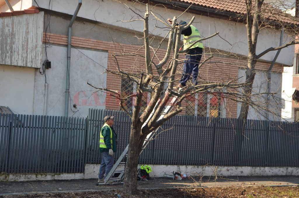 Din toate activitățile derulate de RAADPFL Craiova în 2019, Regia s-a ales la final de an cu un profit de 223.000 de lei