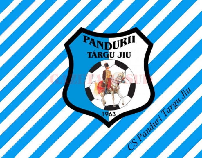 logo-pandurii-targu-jiu