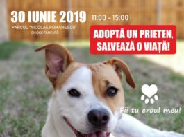 Un nou târgul de adopții canine, la Craiova
