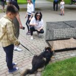 Iubitorii de animale pot să adopte gratis un cățel astăzi, în cadrul Târgului de adopţii organizat de SC Salubritate Craiova