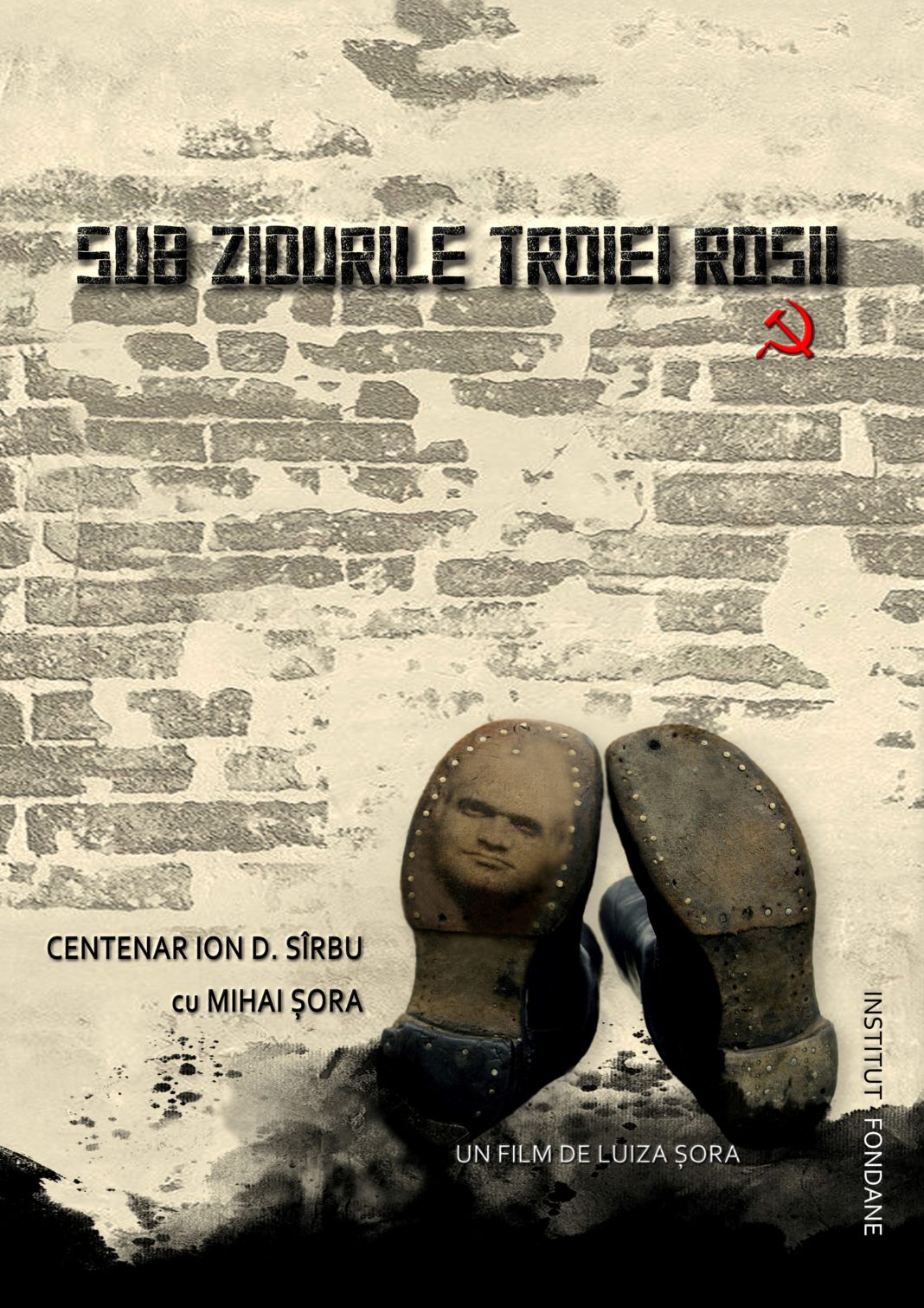 Centenar I.D. Sârbu la Craiova