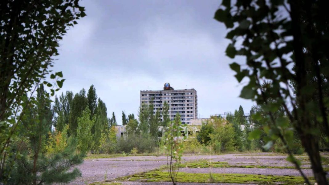 De ce plantele de la Cernobîl sunt imune în fața cancerului