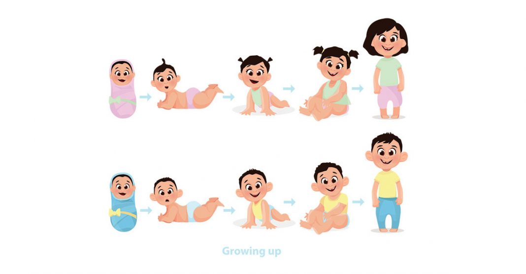 Cum crește bebelușul în primele 6 luni