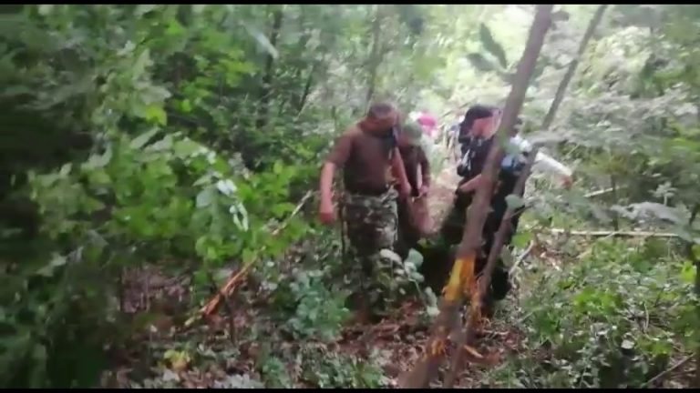 Gorj: Urs captiv într-un laț, salvat de jandarmi și vânători