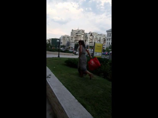 Hoţii de flori de pe spaţiul public, amendaţi