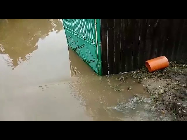Mai multe gospodării din Scornicești, inundate