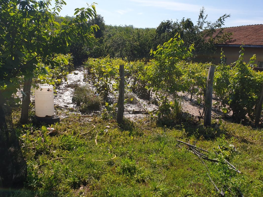 Viitura a afectat grădinile localnicilor din Poiana