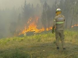 Centrul Portugaliei, cel mai afectat de incendiile de vegetaţie