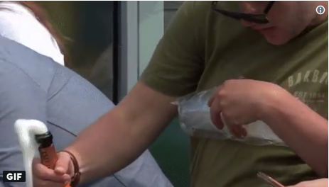 Faza zilei la Wibledon: Ce i s-a întâmplat unui spectator, în tribune