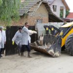 Dezastru la Teasc: toţi porcii din comună sunt eutanasiaţi