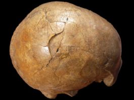 Misterul unei crime de acum 33.000 de ani ani a fost elucidat