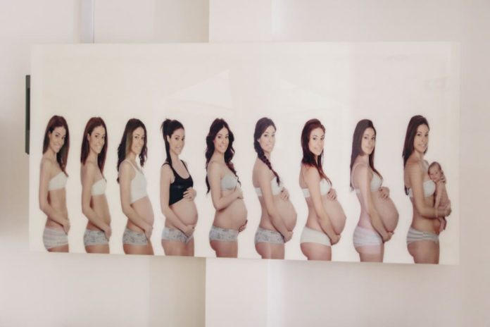 columna 2