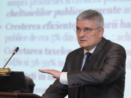 Daniel Dăianu și Bogdan Octavian-Cozmâncă vor conduce Consiliul Fiscal