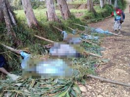 Masacru în Papua Noua Guinee: Cel puțin 15 femei și copii au fost uciși