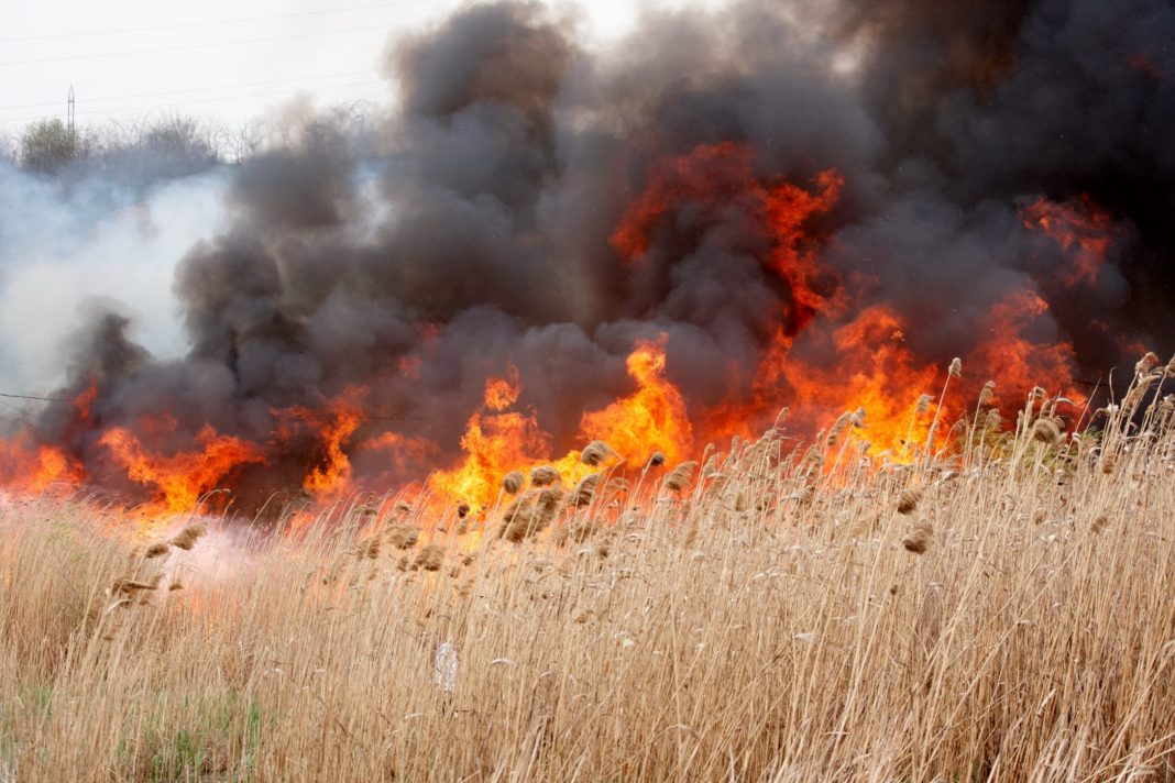 Atenţionare MAE: Risc ridicat de incendii de vegetaţie în Grecia