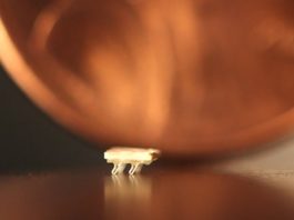 Cel mai mic robot din lume are mărimea unei furnici