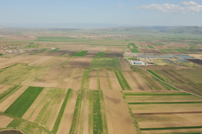 suprafata teren Anchetatorii susţin că cei doi inculpaţi au cerut şi obţinut subvenţii pentru suprafețe de teren pe care nu le dețineau