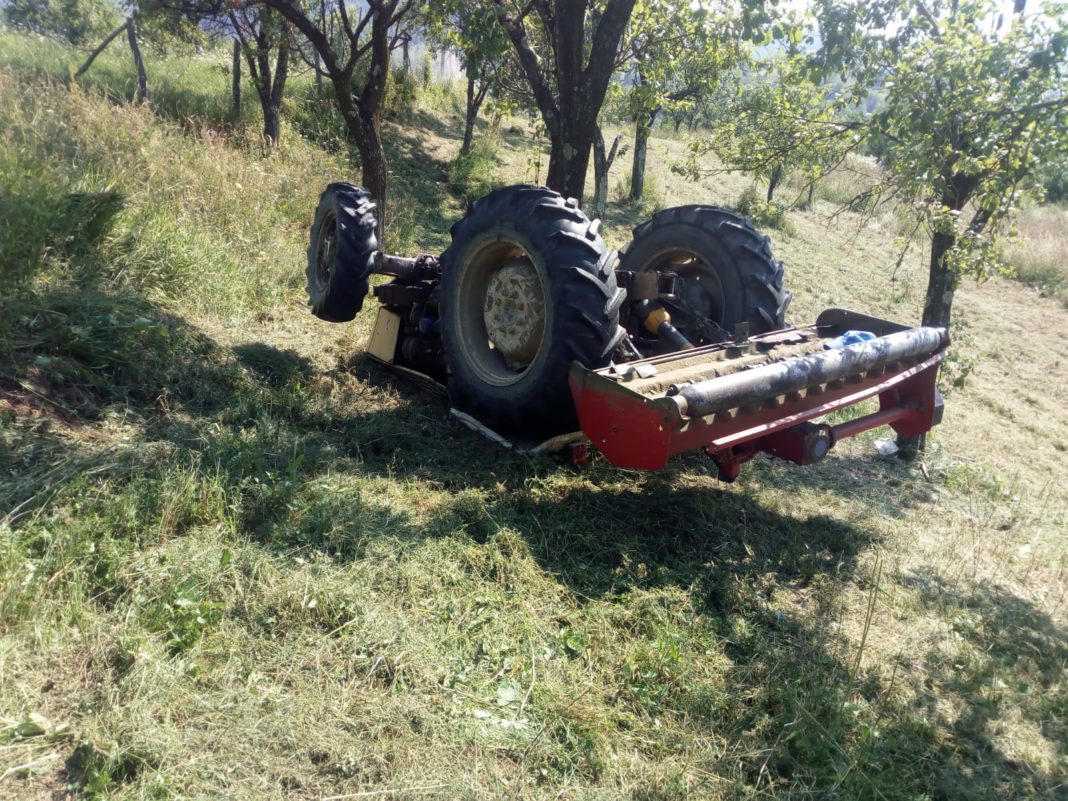 WhatsApp Image 2019-08-12 at 15.58.54