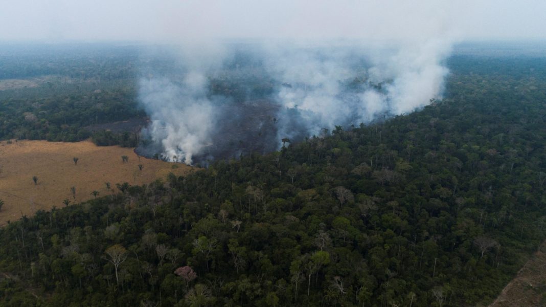 Columbia va propune, la ONU, un pact regional pentru conservarea Amazoniei