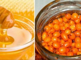 Cătina cu miere de albine medicament pentru organism