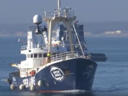România, dispusă să preia din imigranții de pe o navă care are interzis să acosteze în Italia