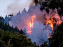 Incendiul din insula Gran Canaria a scăpat de sub control