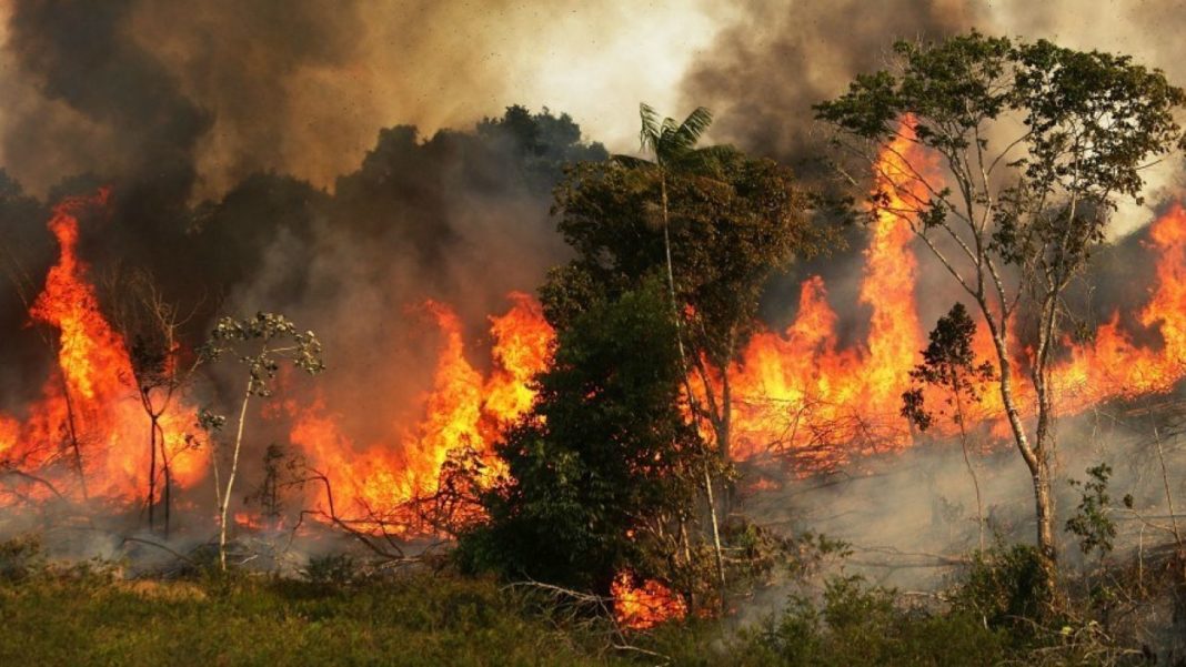 Brazilia refuză ajutorul propus de Macron legat de incendiile din Amazon