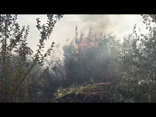 Incendiu puternic în Catargiu. Pompierii s-au mobilizat cu mai multe echipaje(VIDEO)