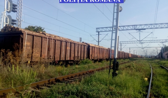 Tren care transporta lemn fără acte, oprit de poliţişti