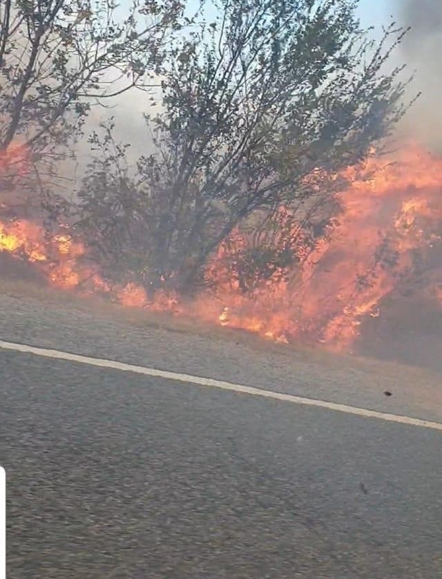 Ziare Gorj Azi Stiri De Ultima Ora Si Ultimele Stiri 2019 12 09