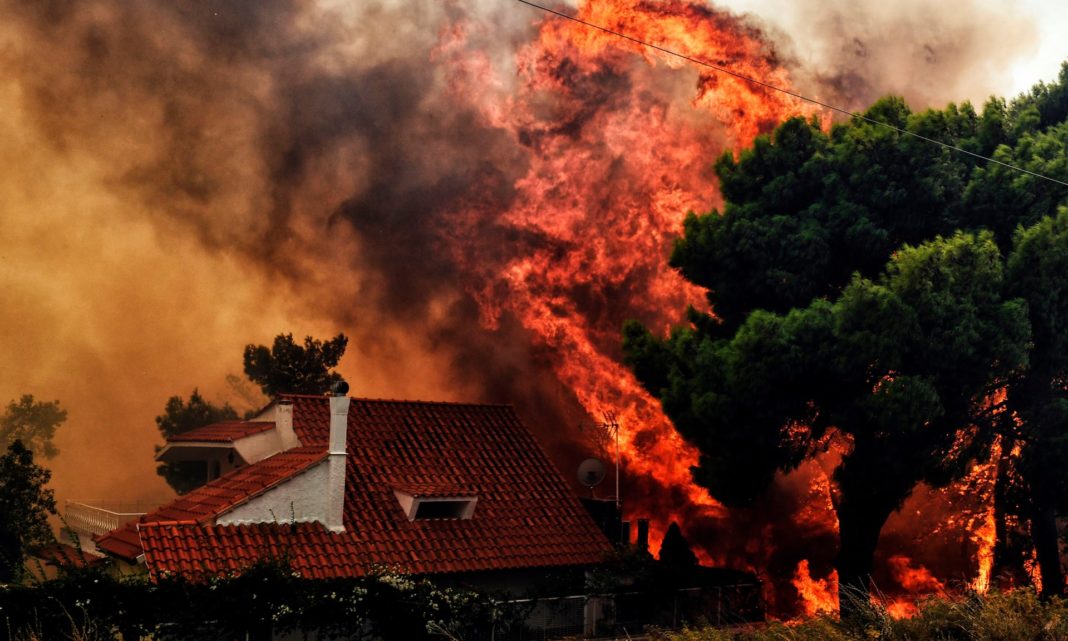 Trei incendii de vegetaţie s-au unit şi au format unul uriaş