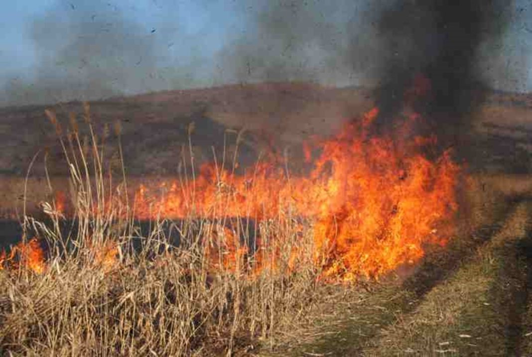 Incendiu de vedetație uscată în cartierul craiovean Mofleni