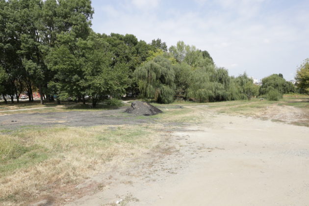 La acest aspect insalubru al Parcului Corniţoiu a contribuit nu doar natura, ci şi primăria