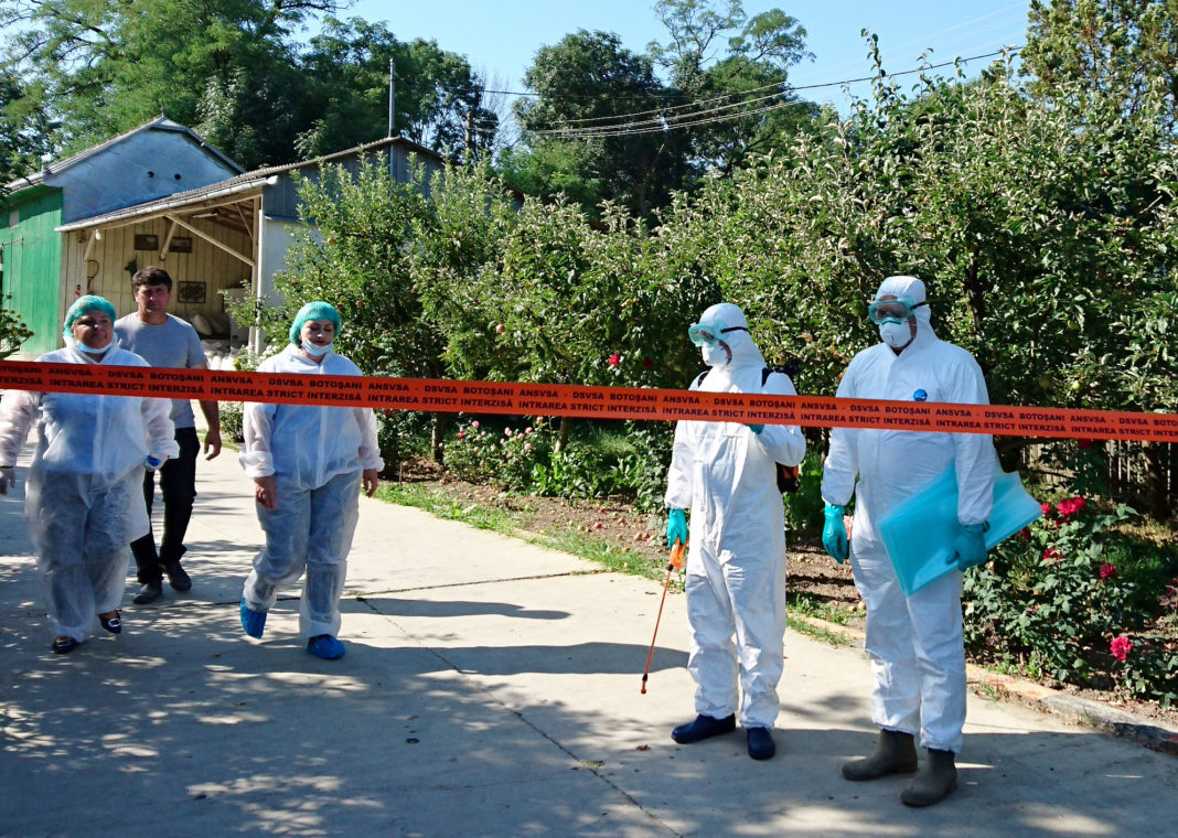 Persoane din Buzău, bănuite că au răspândit virusul pestei porcine