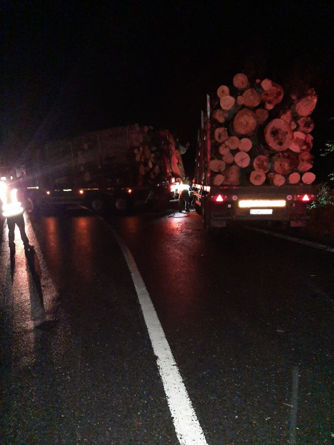 Polițiștii gorjeni au identificat ieri pe un drum forestier din comuna Baia de Fier un transport ilegal de lemne
