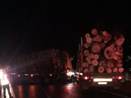 Polițiștii gorjeni au identificat ieri pe un drum forestier din comuna Baia de Fier un transport ilegal de lemne