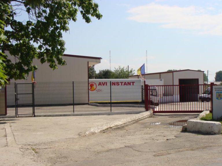 Anchetatorii au susţinut că SC Avi Instant a fost implicată într-un circuit de evaziune fiscală şi spălare de bani.