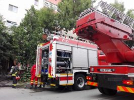 14 incendii de vegetație uscată în Gorj