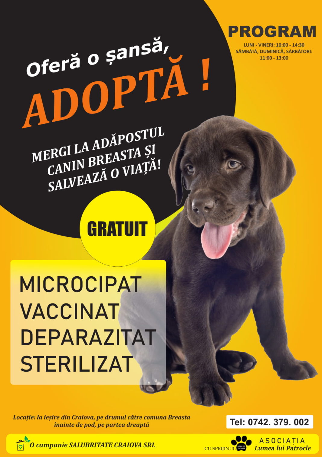 Oferă o şansă animalelor neajutorate Oferă o şansă animalelor neajutorate