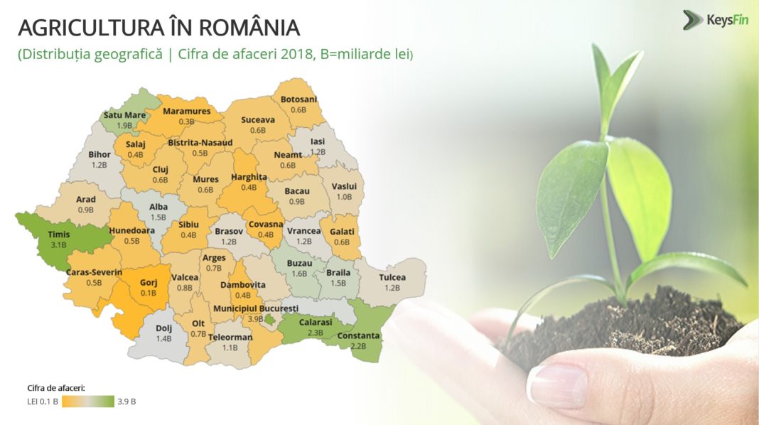 Agricultura românească creşte în 2019 cu jumătate de miliard de euro