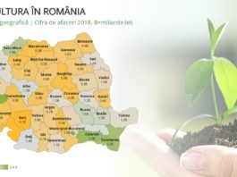 Agricultura românească creşte în 2019 cu jumătate de miliard de euro